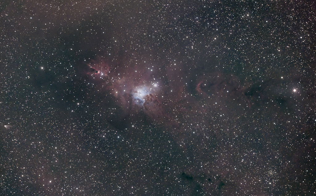 NGC2264 032022