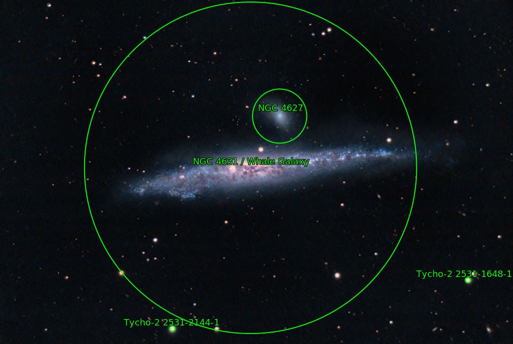 NGC4631ANT