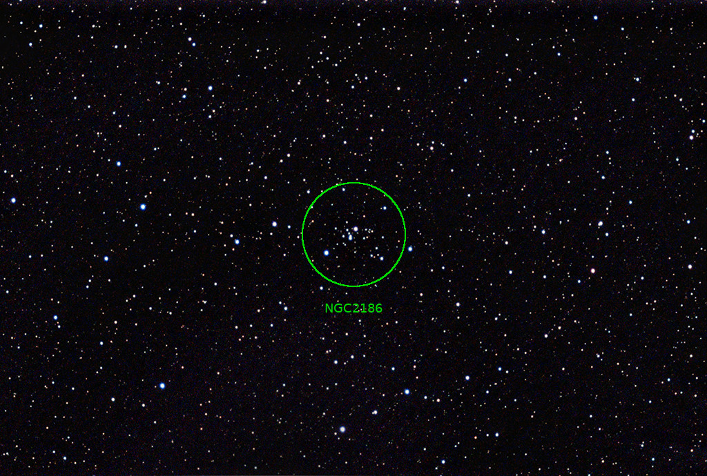 STNGC2186 28022023ANT