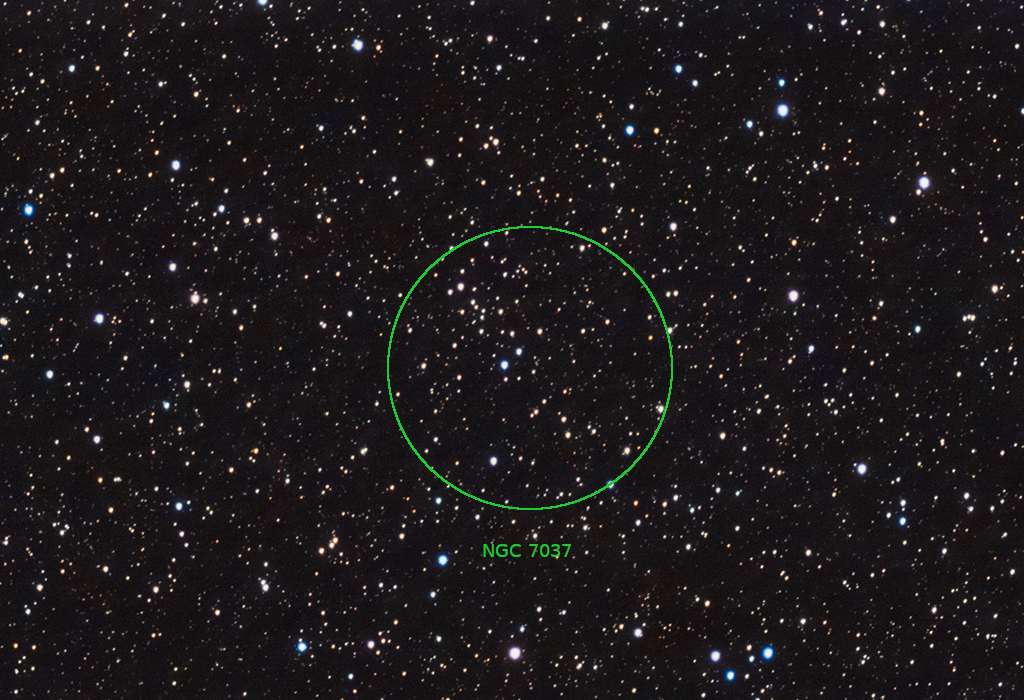 STNGC7037 09092023ANT